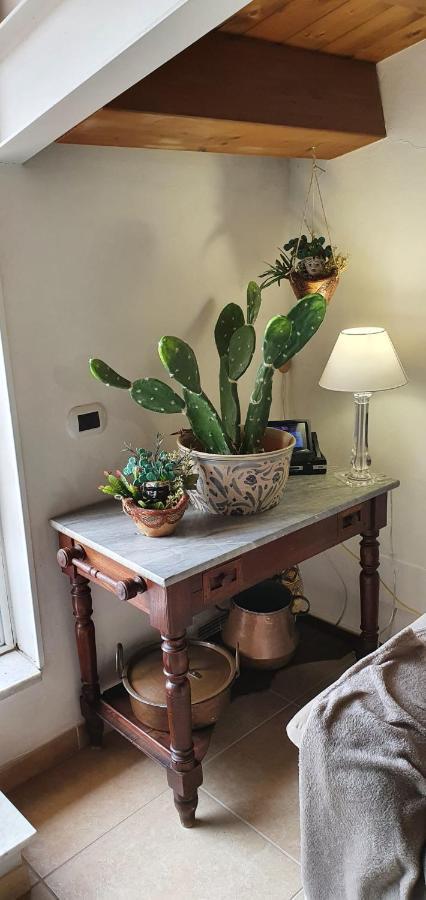 Palermit'Amo Bed & Breakfast Палермо Екстериор снимка
